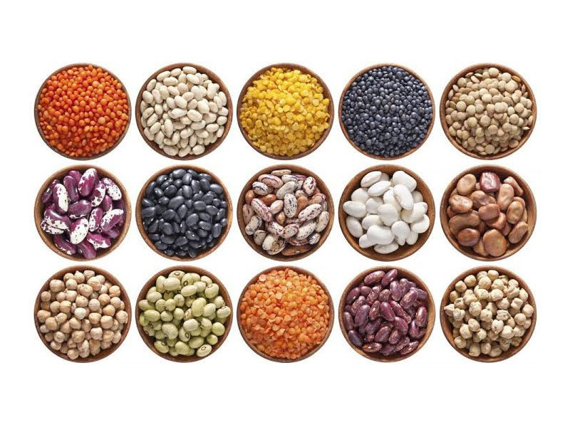 Legumes